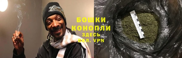 твердый Абаза