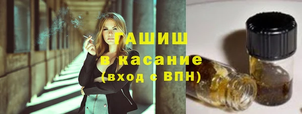твердый Абаза