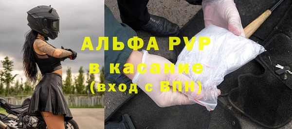 твердый Абаза