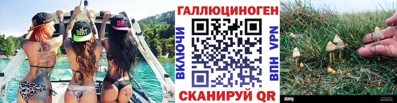 Псилоцибиновые грибы Cubensis blacksprut ONION Троицк