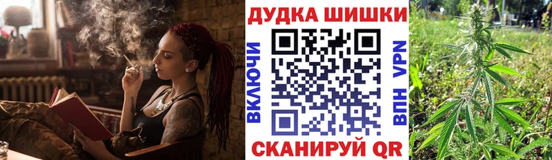 Бошки Шишки планчик  как найти   Троицк 